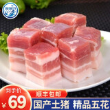 海味达 原切五花肉块 猪肉 生鲜 1kg 国产免切五花肉
